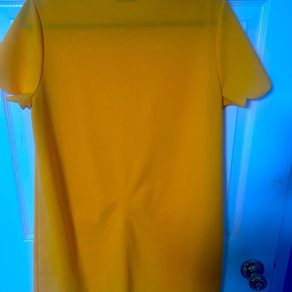 Never worn. Sz LG cozy and fits larger. Mustard color. Mustard color.